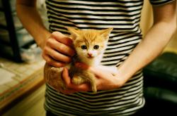 开云体育APP下载-足球的唯一性交响曲，雷恩横扫希腊与C罗英超争冠接管之夜