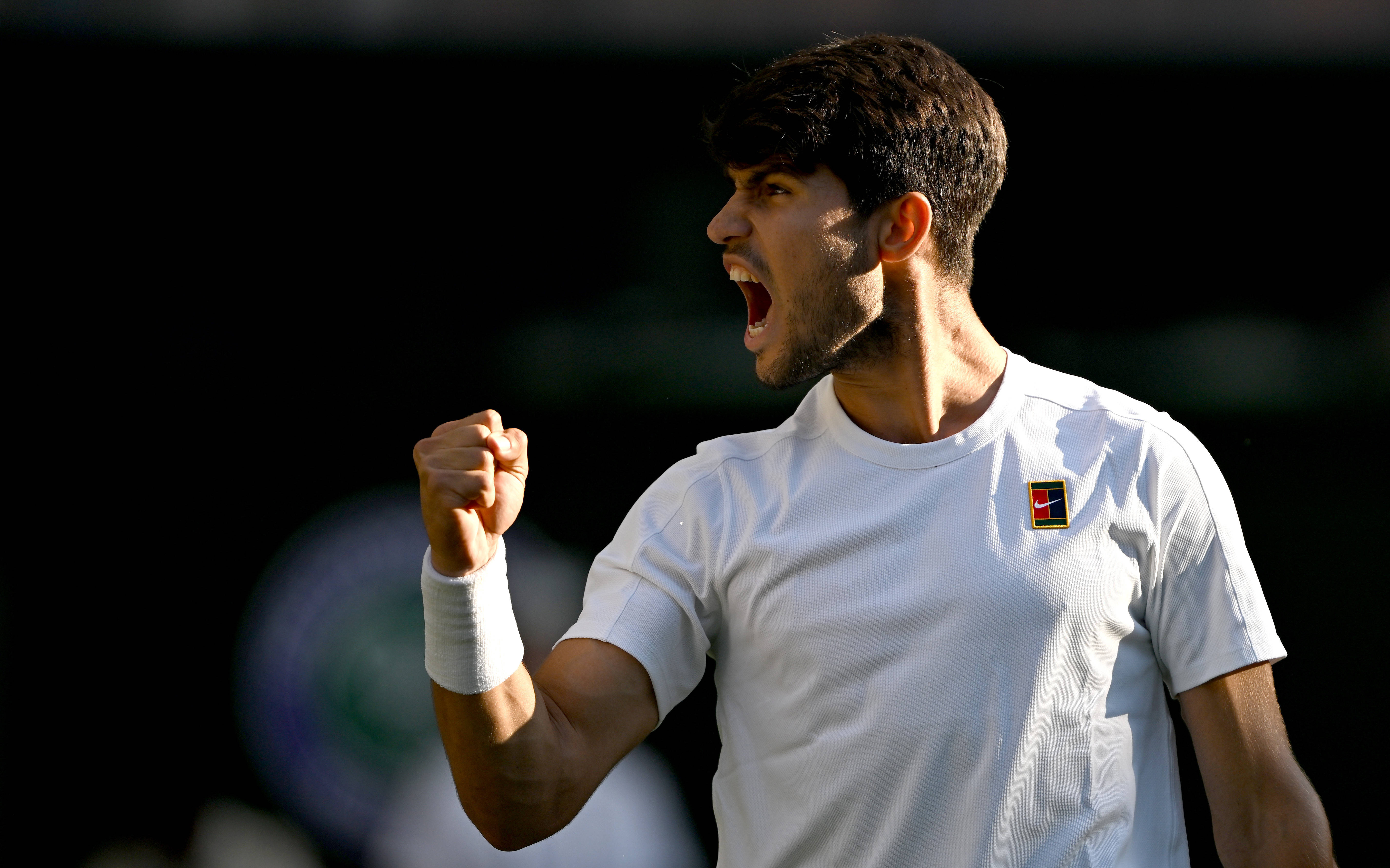 温网绝杀拉沃尔杯，阿尔卡拉斯刷新纪录的简单介绍