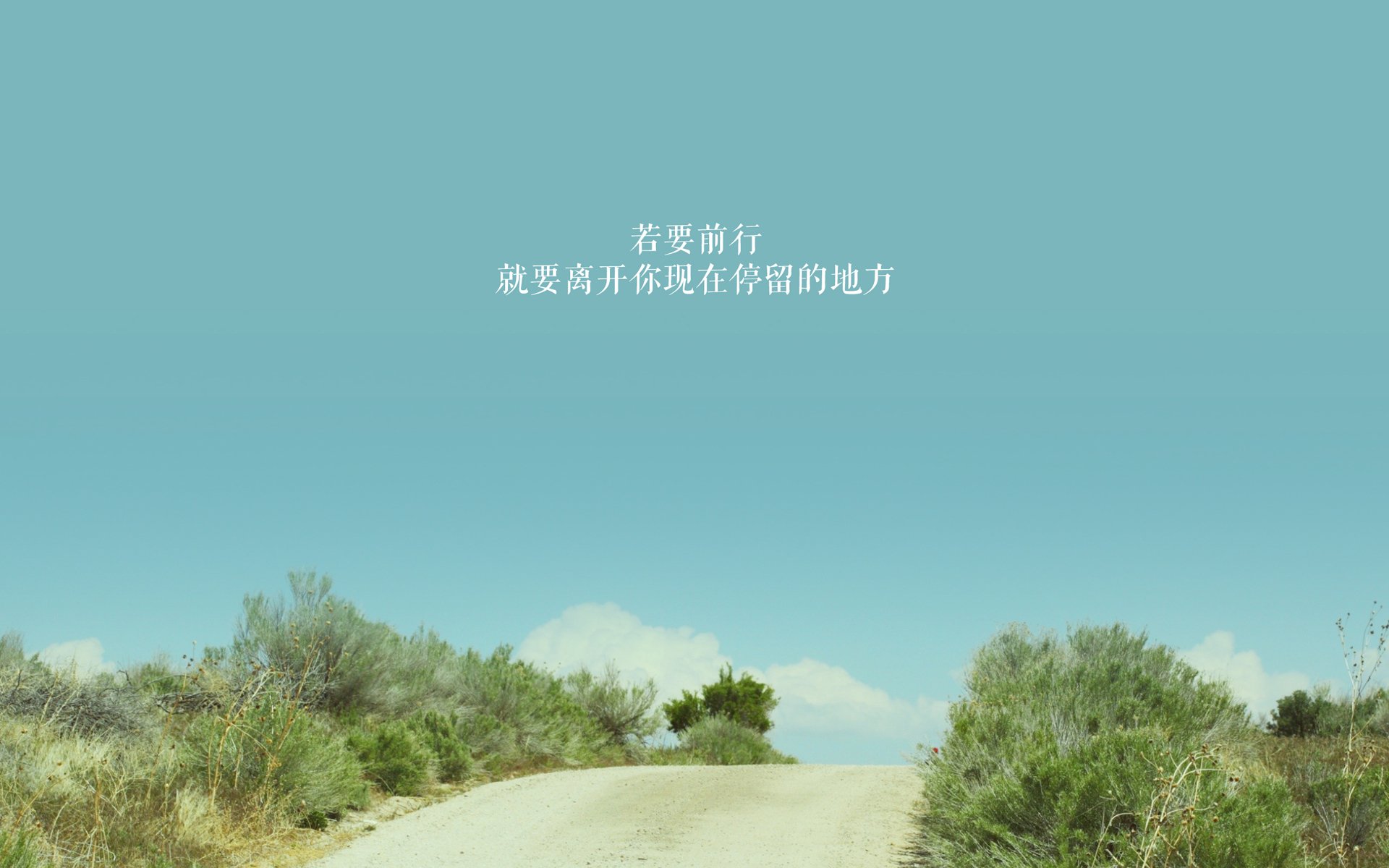 体育奇迹日，林高远闪耀乒乓球台，英格兰队足球场逆袭韩国