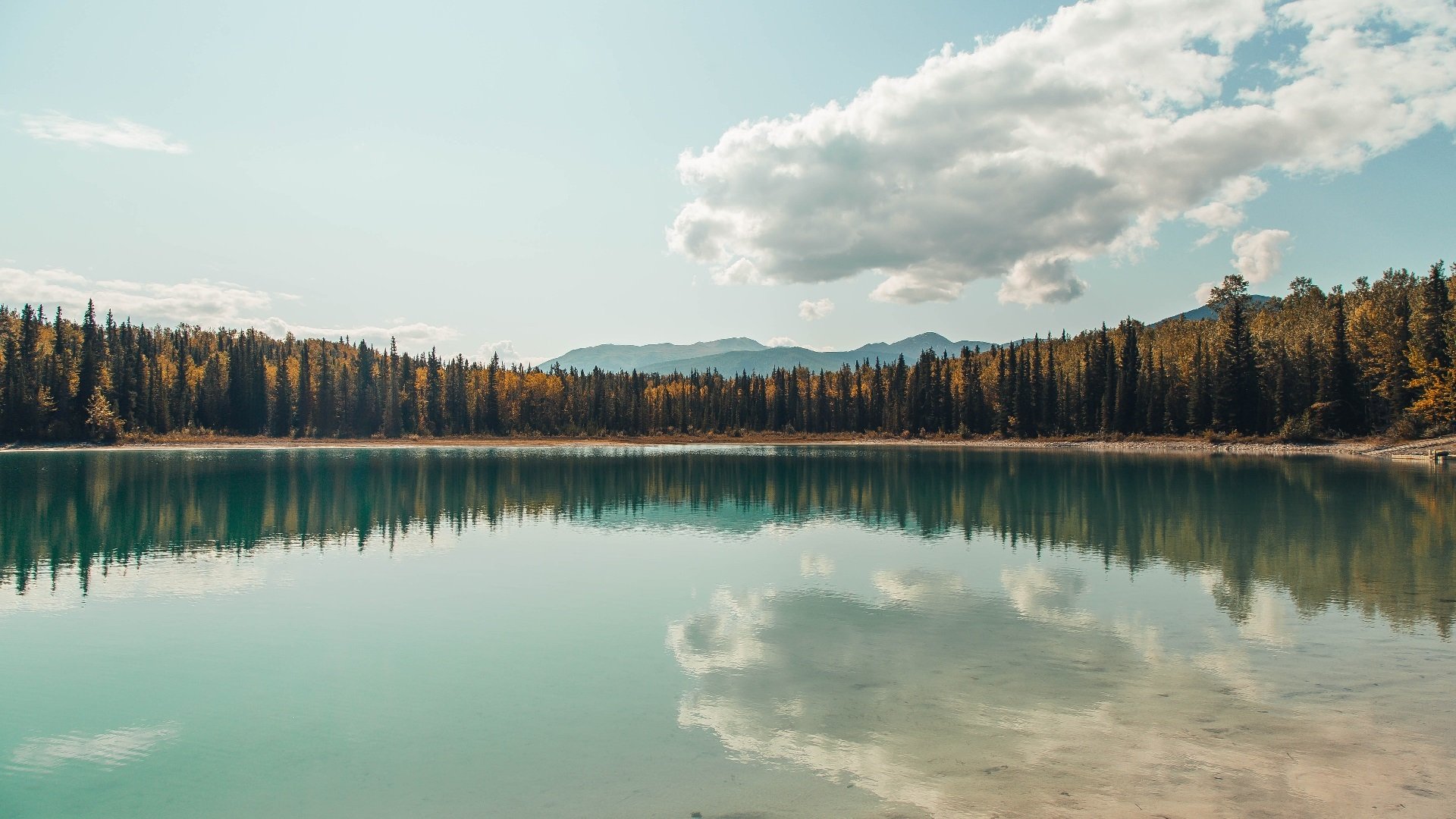逆转红土阴霾，阿尔卡拉斯ATP总决赛点燃赛场传奇