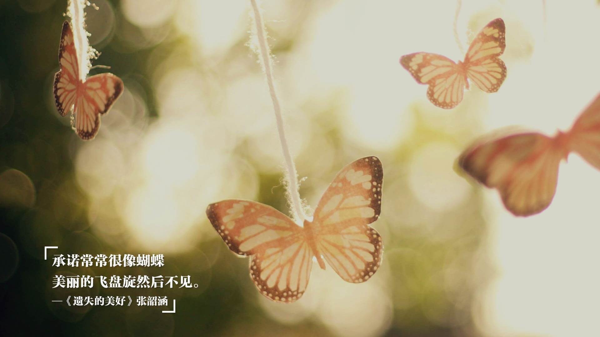 巨人归来，周琦统治赛场助广东队轻取四川