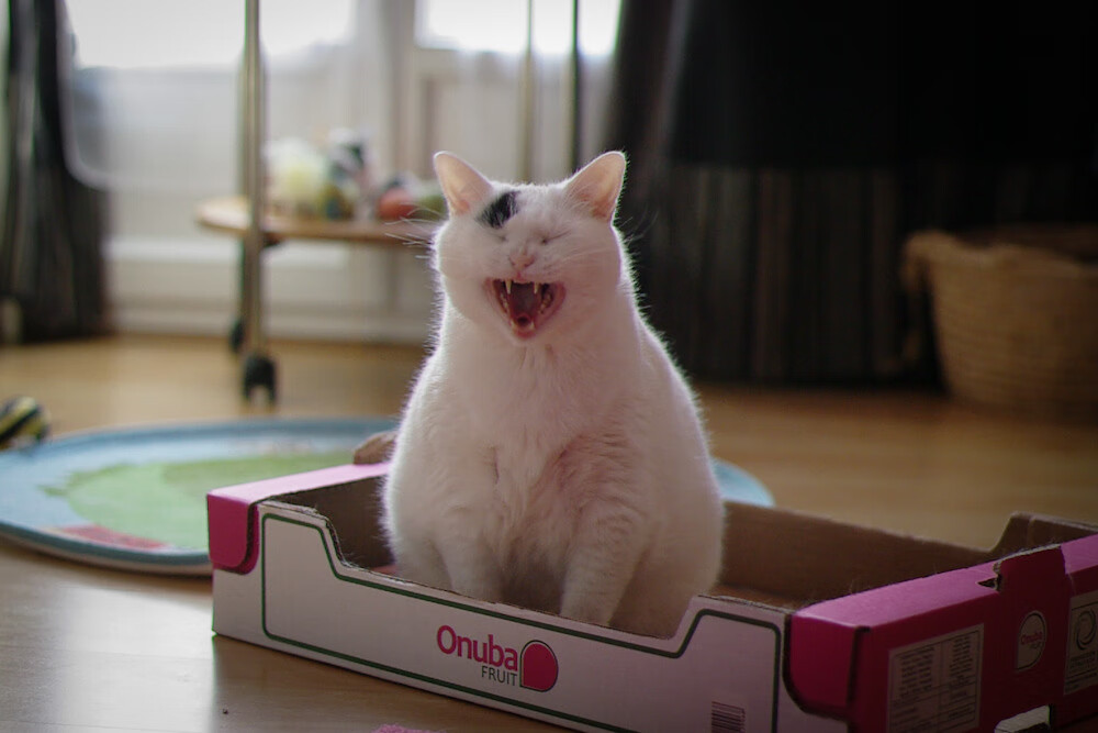 英超火药桶引爆时，开拓者用56分狂欢写下另一个世界的狂想曲