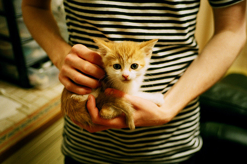 足球的唯一性交响曲，雷恩横扫希腊与C罗英超争冠接管之夜