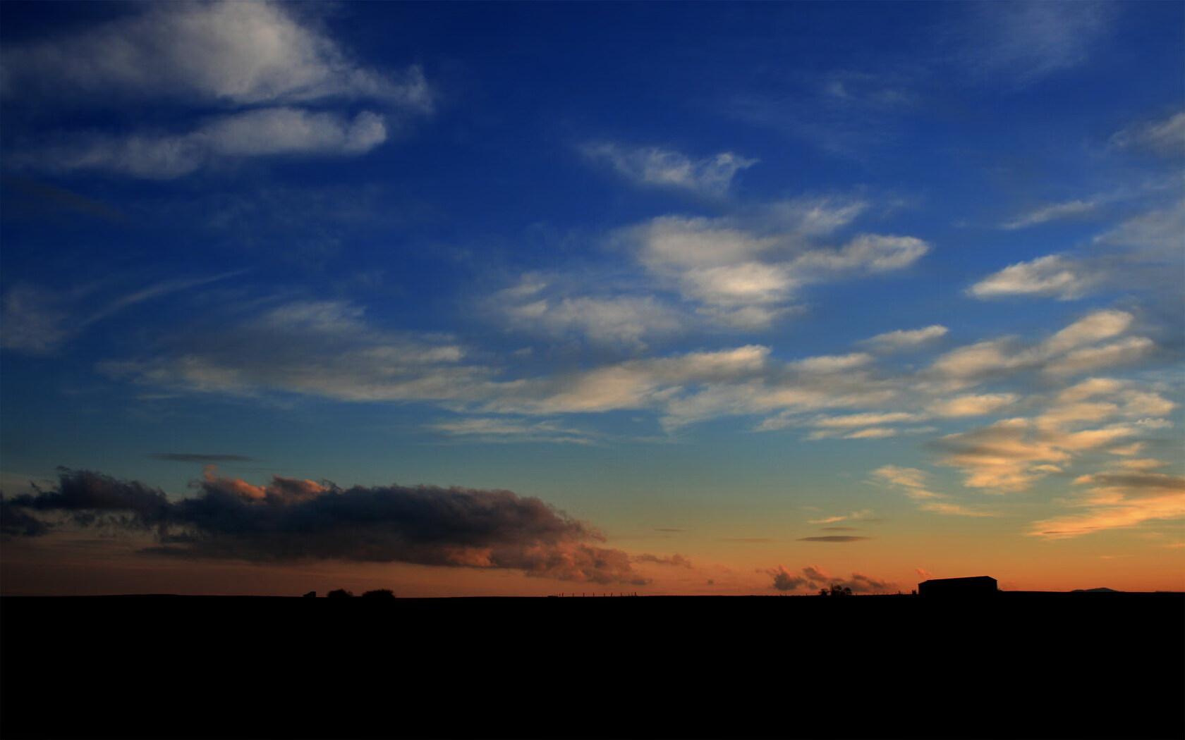 胜利密码，从黄蜂的团队风暴到福克斯的致命尖牙