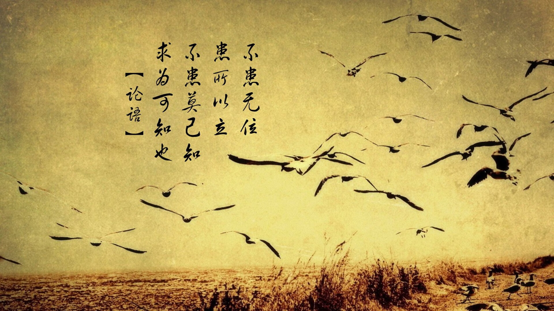 两种体系的韧性，卡瓦哈尔创纪录与安哥拉打穿雷恩背后的足球叙事