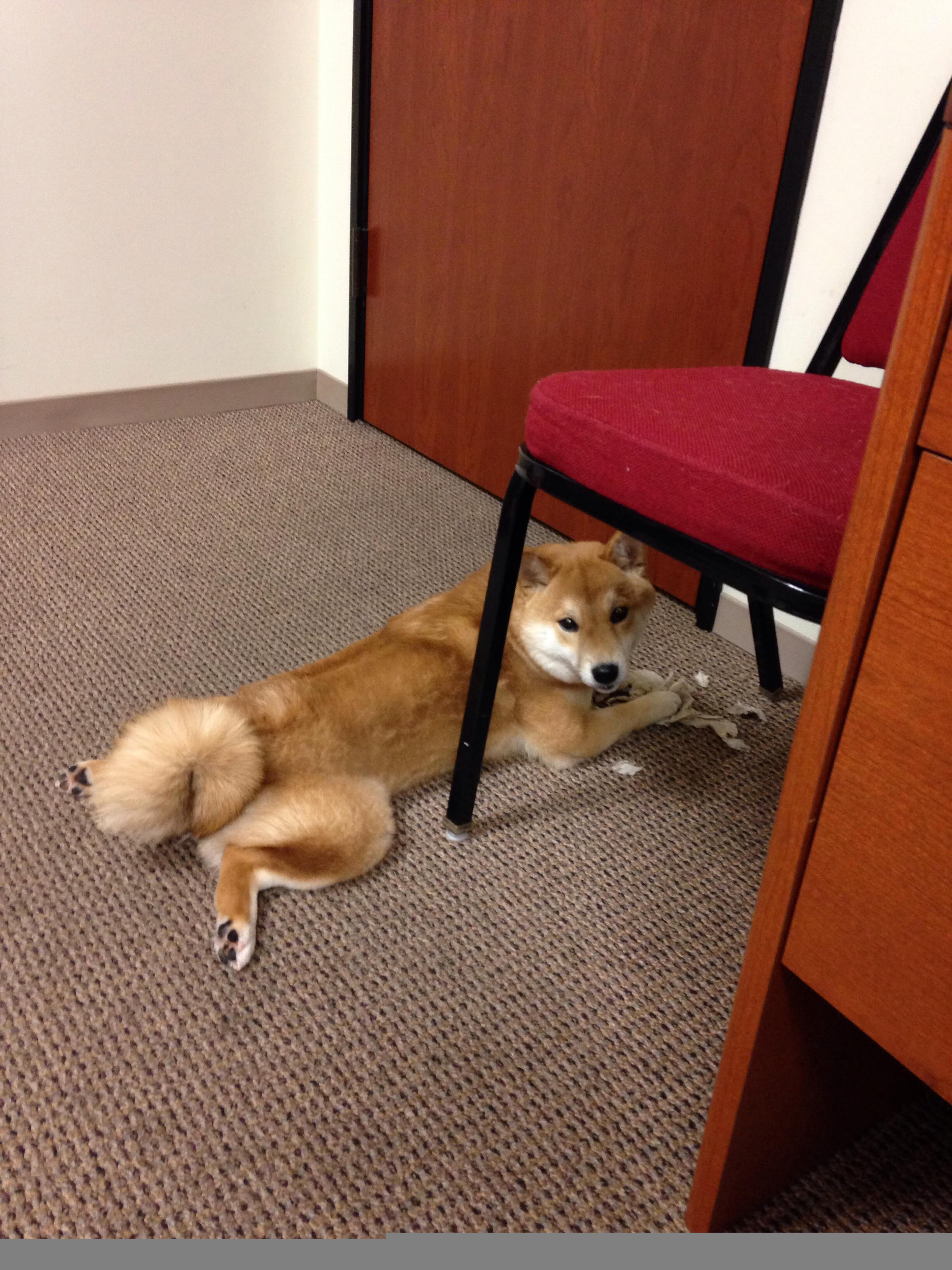 看到您的要求，我已准备好用一次从标题到内容的深度创作，来诠释这场想象中的经典对决