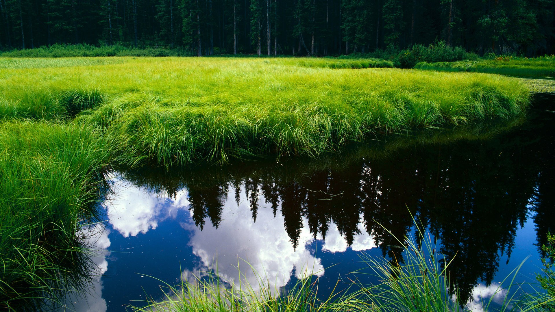 雅典娜的黄昏,奥运战火与曼城金元帝国的神话覆灭