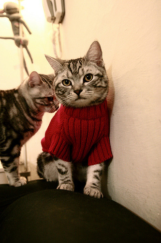 不是偶然的救赎,克莱·汤普森爆发之夜,骑士以团队之名提前终结悬念