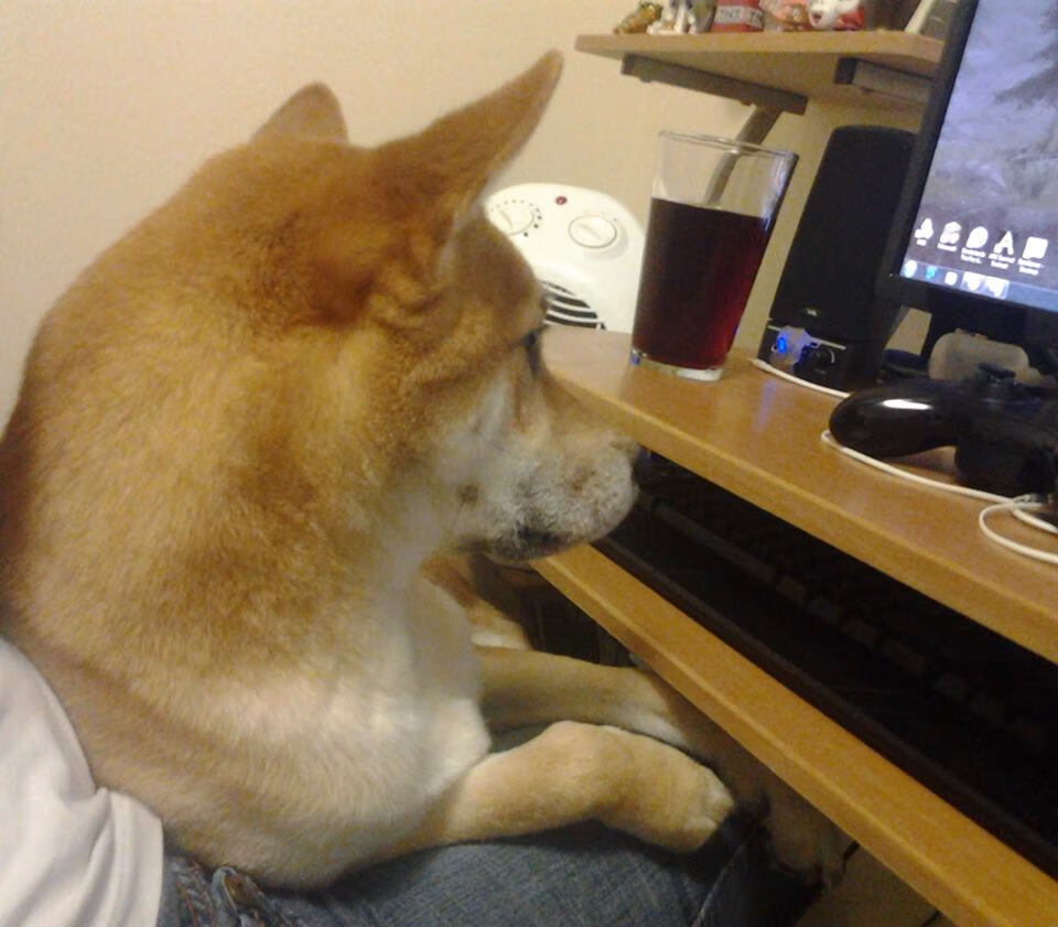 唯一性的时空对决，当乔治的无解篮球哲学遇上新疆队的铁血纪律