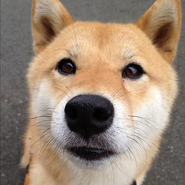 罗德里戈一击定乾坤！牙买加生死战1-0力克希腊，晋级希望重燃