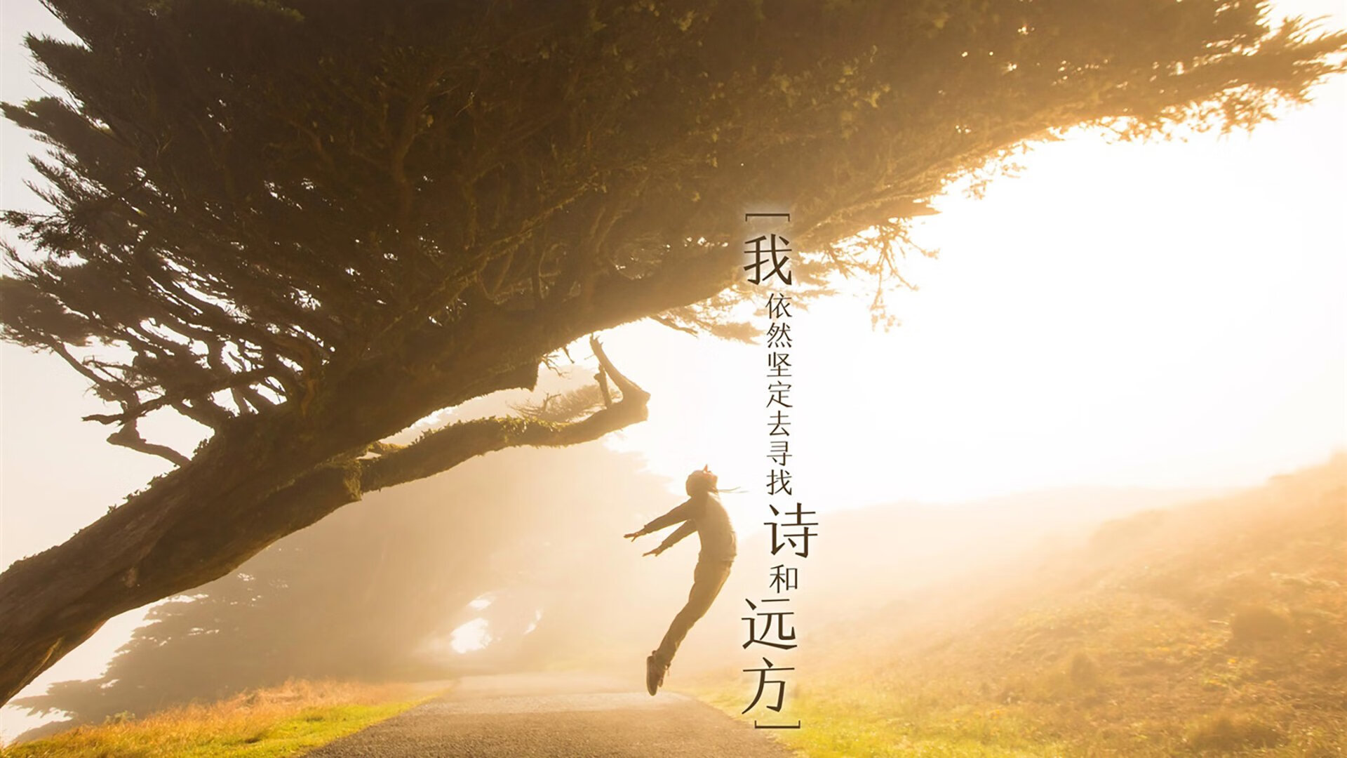 风车折戟安第斯之矛,厄瓜多尔三刀斩落郁金香,佩德里冷血一击终结悬念