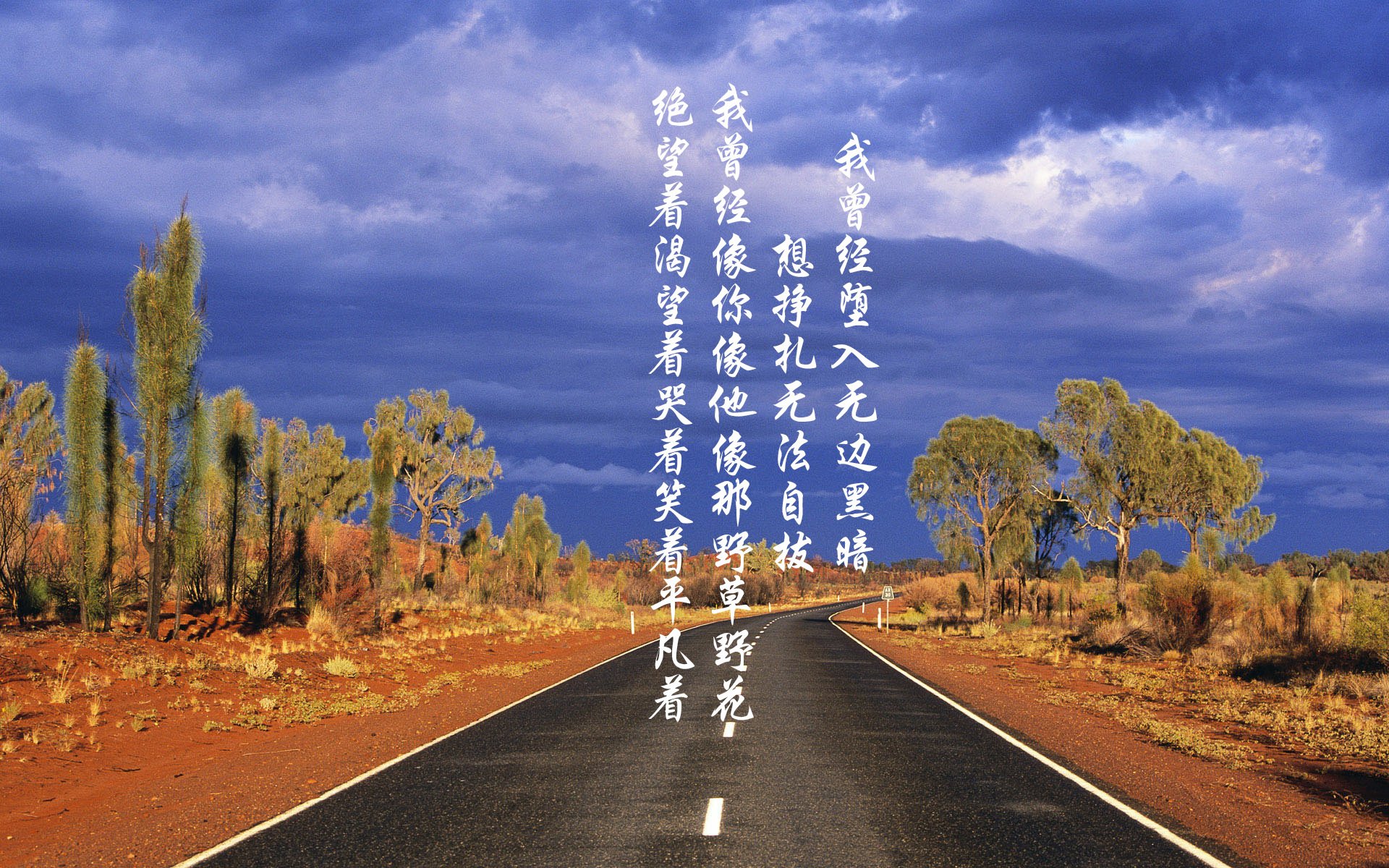 结局的背叛,当2026的历史重演被哈兰德撕碎,英格兰如何成为王者之殇的背景板?
